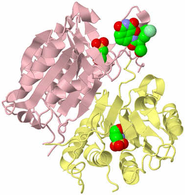 Image Biological Unit 2