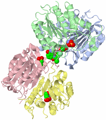 Image Biological Unit 3