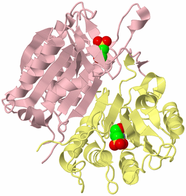 Image Biological Unit 2