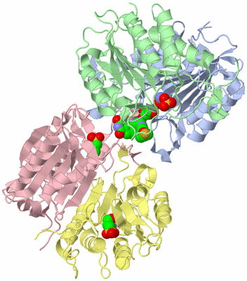 Image Biological Unit 3