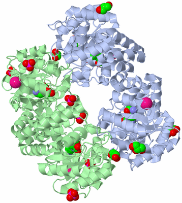 Image Biological Unit 1