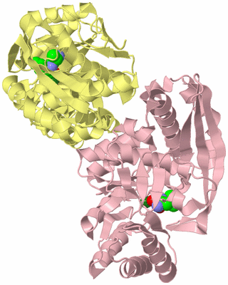 Image Biological Unit 2