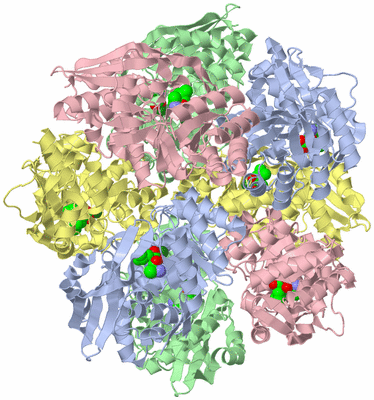 Image Biological Unit 3