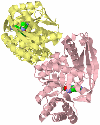 Image Biological Unit 2