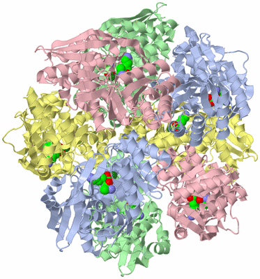 Image Biological Unit 3