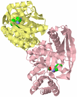 Image Biological Unit 2