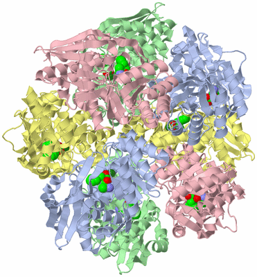 Image Biological Unit 3