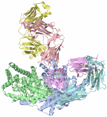 Image Asymmetric Unit