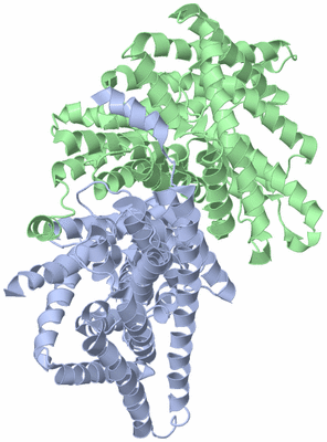 Image Biological Unit 1