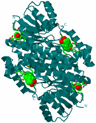 Image Biol. Unit 1 - sites