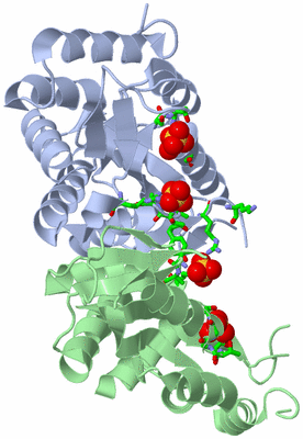 Image Asym./Biol. Unit - sites