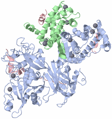 Image Asym./Biol. Unit