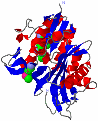 Image Asym./Biol. Unit