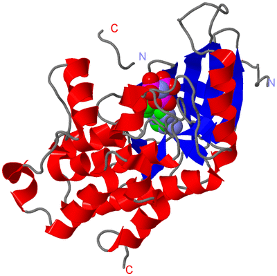 Image Asym./Biol. Unit