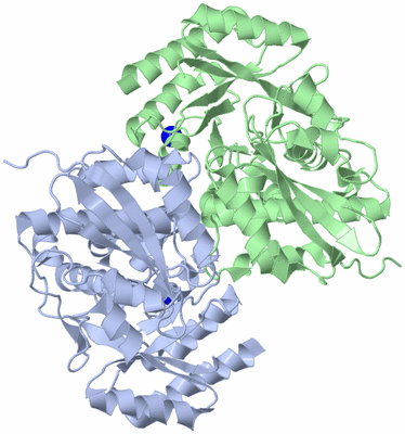 Image Biological Unit 3