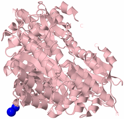 Image Biological Unit 4