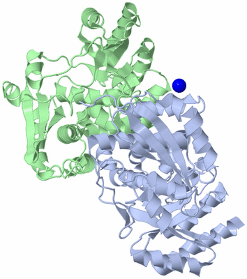 Image Biological Unit 5