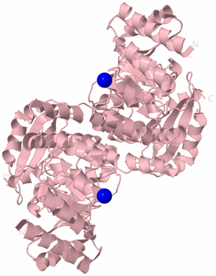 Image Biological Unit 6