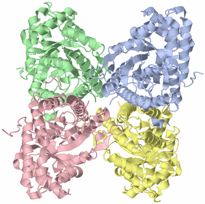 Image Asym./Biol. Unit