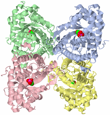 Image Asym./Biol. Unit