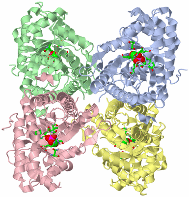 Image Asym./Biol. Unit - sites