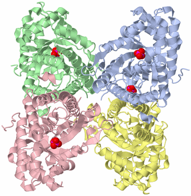 Image Asym./Biol. Unit