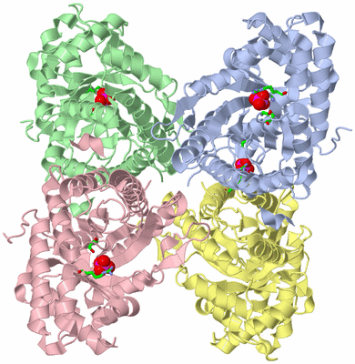 Image Asym./Biol. Unit - sites