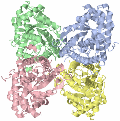 Image Asym./Biol. Unit