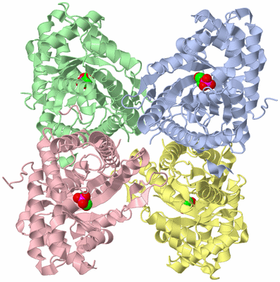 Image Asym./Biol. Unit