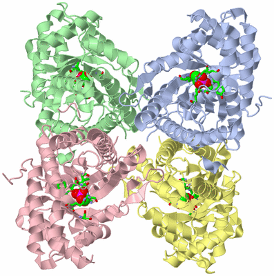 Image Asym./Biol. Unit - sites