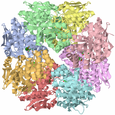 Image Biol. Unit 1 - sites