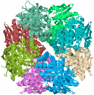 Image Biological Unit 2