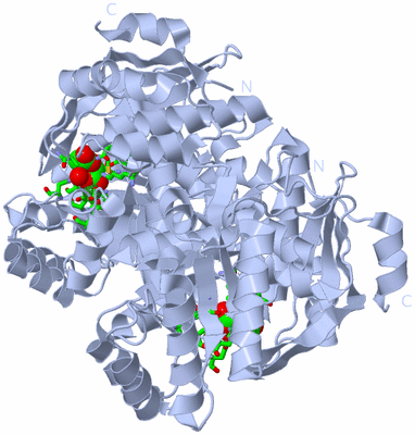 Image Biol. Unit 1 - sites