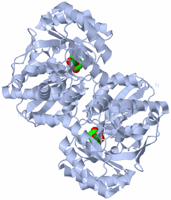 Image Biological Unit 2