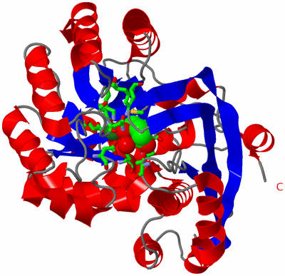 Image Asym. Unit - sites