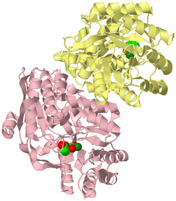 Image Biological Unit 2