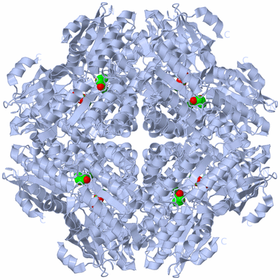 Image Biological Unit 1