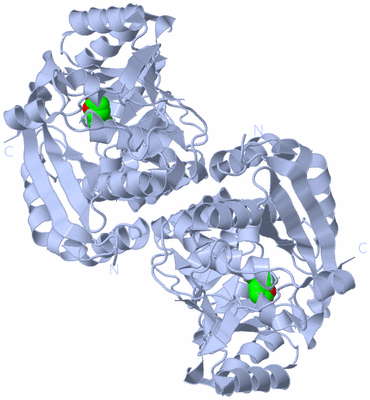 Image Biological Unit 2