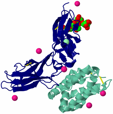 Image Biological Unit 1