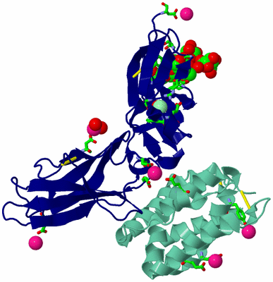 Image Biol. Unit 1 - sites