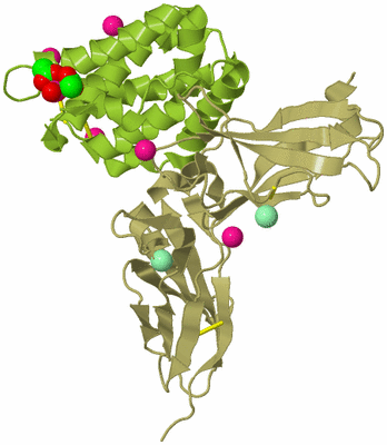 Image Biological Unit 2