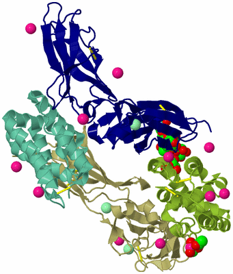 Image Biological Unit 3