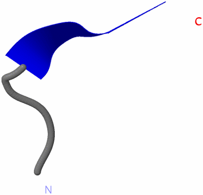 Image Asymmetric Unit