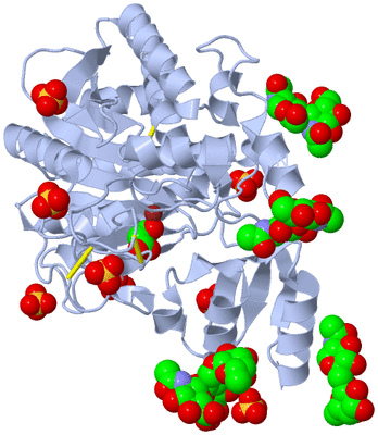 Image Biological Unit 2