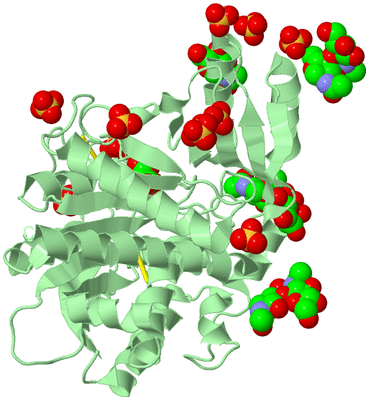 Image Biological Unit 3