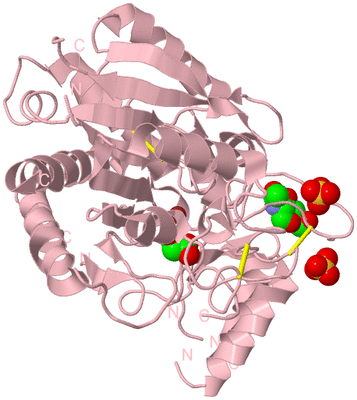 Image Biological Unit 4