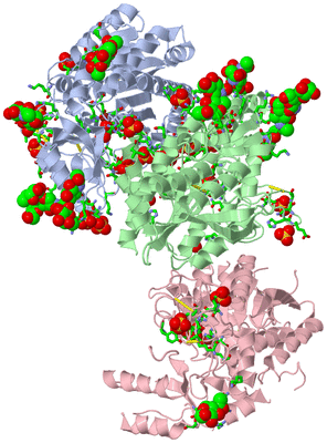 Image Asym. Unit - sites