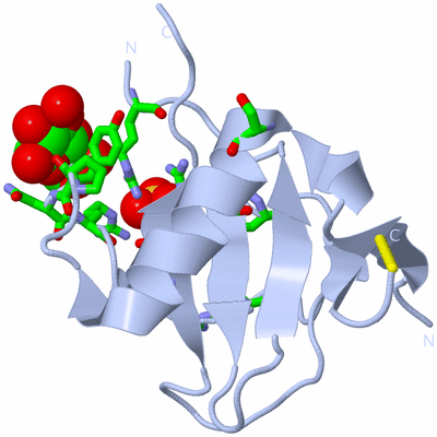 Image Biol. Unit 1 - sites