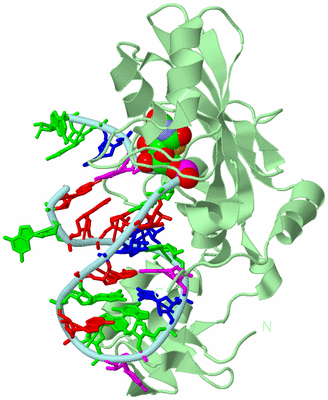 Image Biological Unit 1