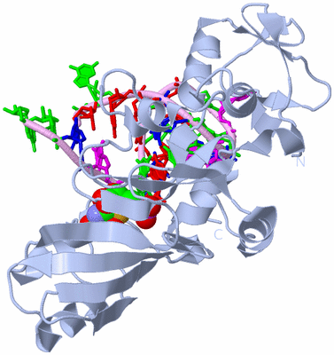 Image Biological Unit 2